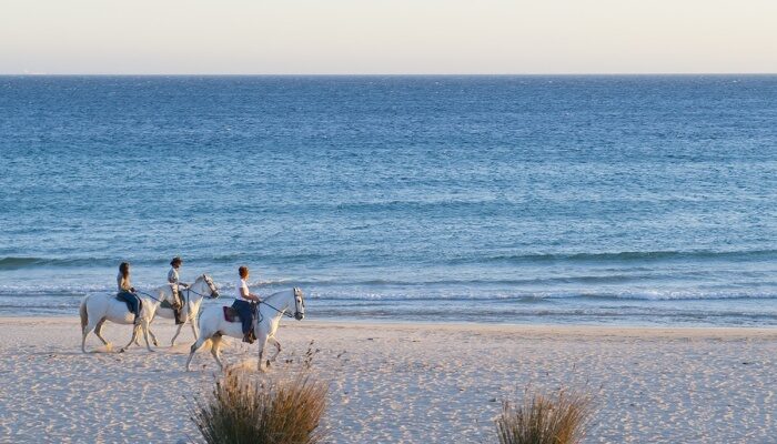 Horse riding Taghazout