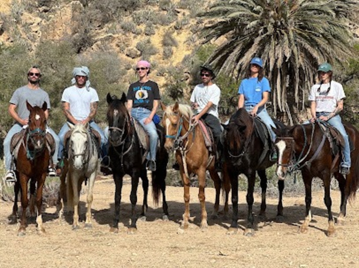 Horse riding Taghazout